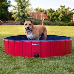 Frontpet Folding Dog Pool With Drain Plug PET SUPPLIES