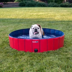 Frontpet Folding Dog Pool With Drain Plug PET SUPPLIES
