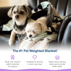 Moonstone Dog Anti-Anxiety Weighted Blanket 12 Moonstone Dog Anti-Anxiety Weighted Blanket