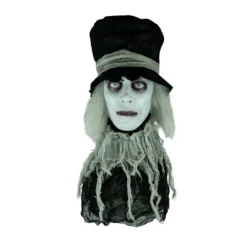 Holidayana Animatronic Spinning Severed Head - Sound And Touch Activated Halloween Decoration Lighted Eyes Patio & Outdoors 9 Holidayana Animatronic Spinning Severed Head - Sound And Touch Activated Halloween Decoration Lighted Eyes Patio & Outdoors