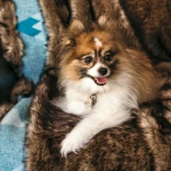 Moonstone Faux Wolf Fur Blanket With Button Straps And Storage Pocket, 54 Inches X 64 Inches HOME GOODS