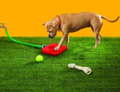 Frontpet PET SUPPLIES Pawcet Outdoor Dog Water Fountain With Hose Attachments