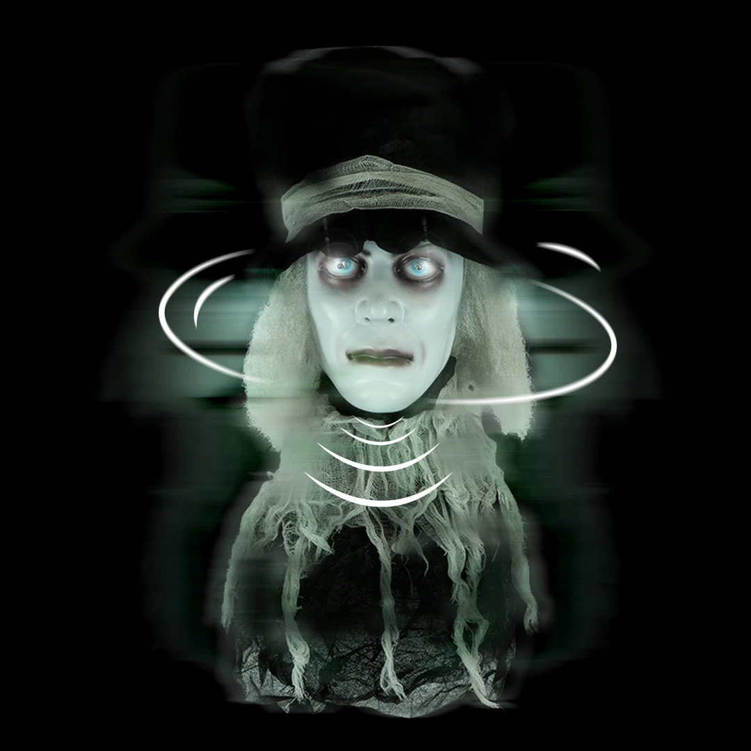 Holidayana Animatronic Spinning Severed Head - Sound And Touch Activated Halloween Decoration Lighted Eyes Patio & Outdoors 1 Holidayana Animatronic Spinning Severed Head - Sound And Touch Activated Halloween Decoration Lighted Eyes Patio & Outdoors