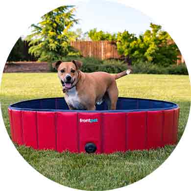 Marketfleet Inc.Shop -Marketfleet Inc.Shop DogPools