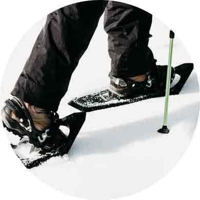 Marketfleet Inc.Shop -Marketfleet Inc.Shop SnowShoes
